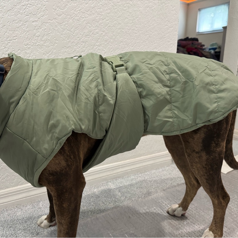 Boots & Barkley Olive Dog Puffer Coat